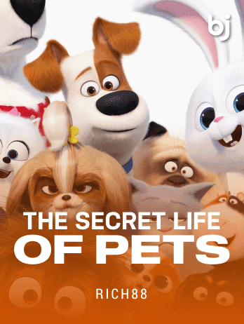The Secret Life of Pets game thumbnail